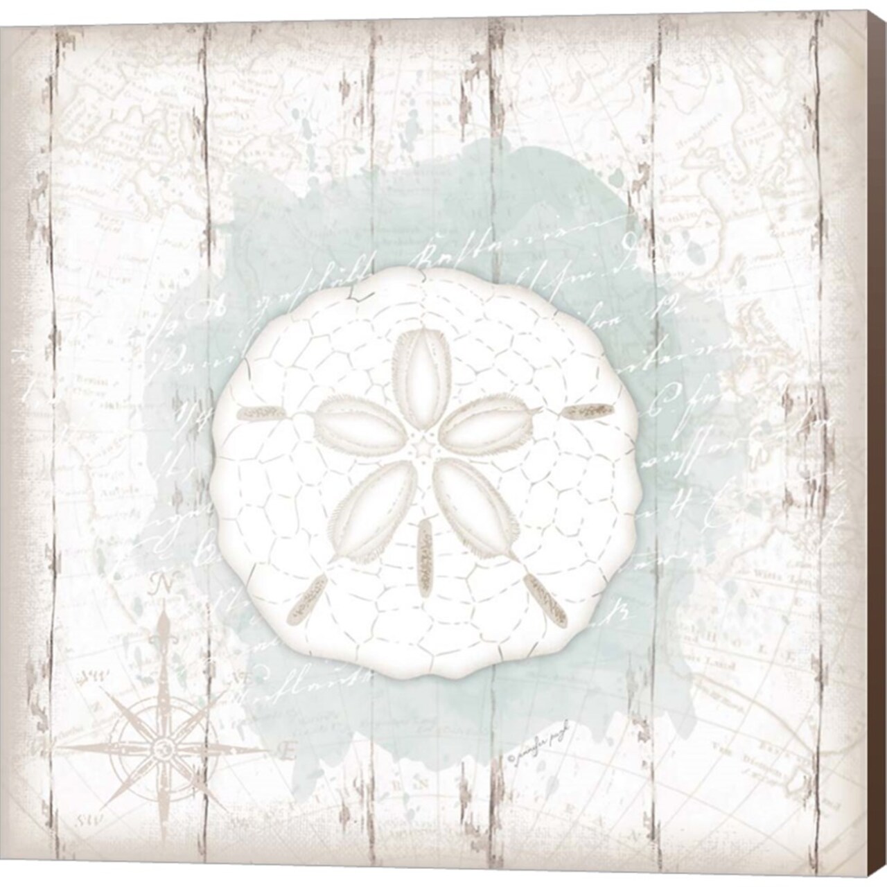 Calming Coastal Sand Dollar by Jennifer Pugh 24" x 24" Canvas Wall Art